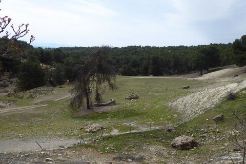 Landejendom i Benamaurel, Granada, Benamaurel - € 270.000 | Ref: v2427 - foto 17