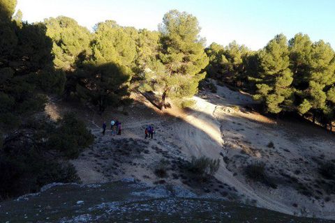 Landejendom i Benamaurel, Granada, Benamaurel - € 270.000 | Ref: v2427 - foto 21