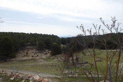 Landejendom i Benamaurel, Granada, Benamaurel - € 270.000 | Ref: v2427 - foto 48