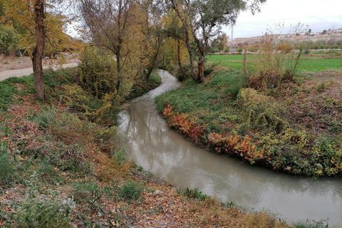 Cave house i Benamaurel, Granada, Benamaurel - € 105.000 | Ref: v2783 - foto 5