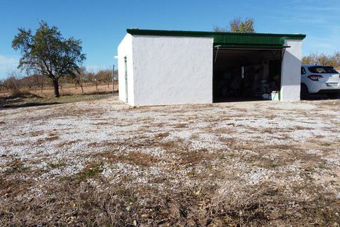 Landejendom i Chirivel, Almeria, Chirivel - € 98.000 | Ref: v2789 - foto 29