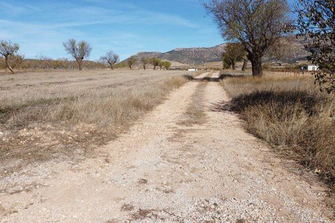 Landejendom i Chirivel, Almeria, Chirivel - € 98.000 | Ref: v2789 - foto 30