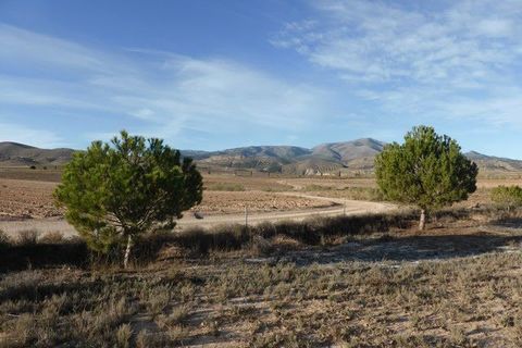 Landejendom i Caniles, Granada, Caniles - € 106.000 | Ref: v2862 - foto 37