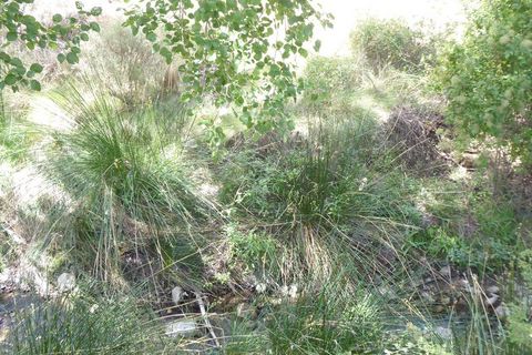 Landejendom i Gor, Granada, Gor - € 144.000 | Ref: v2912 - foto 16
