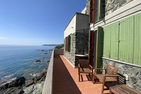 Villa a Rosignano Marittimo, Livorno, Rosignano Marittimo - € 3.450.000 | Ref: CS247 - foto 3