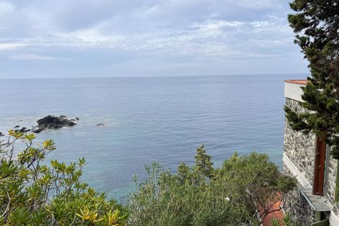 Villa a Rosignano Marittimo, Livorno, Rosignano Marittimo - € 3.450.000 | Ref: CS247 - foto 10