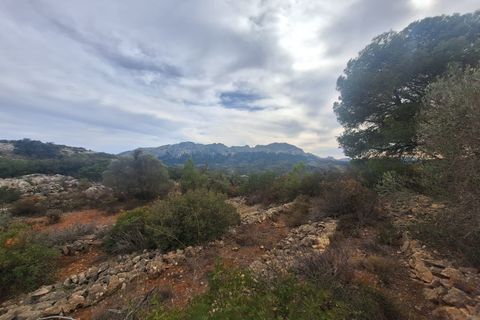 Landejendom i Lliber, Alicante, Lliber - € 245.000 | Ref: C596 - foto 10