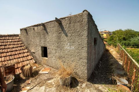 Villa a Tondela, Viseu, Tondela - € 20.000 | Ref: ITH705 - foto 5