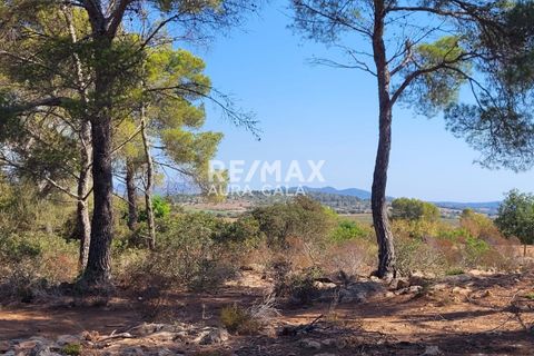 Finca i Manacor, Mallorca, Manacor - € 390.000 | Ref: 1464 - foto 9