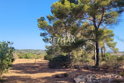 Finca i Manacor, Mallorca, Manacor - € 390.000 | Ref: 1464 - foto 10