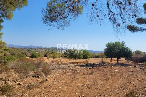 Finca i Manacor, Mallorca, Manacor - € 390.000 | Ref: 1464 - foto 11