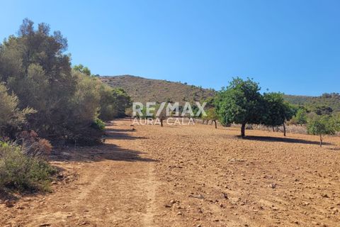 Finca i Manacor, Mallorca, Manacor - € 390.000 | Ref: 1464 - foto 12
