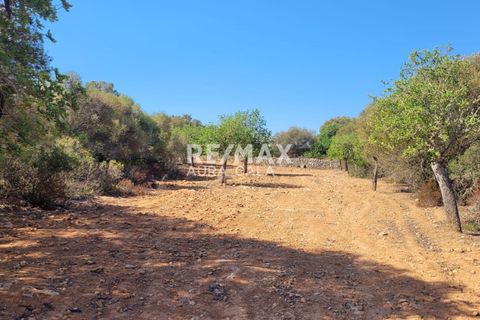 Finca i Manacor, Mallorca, Manacor - € 390.000 | Ref: 1464 - foto 13