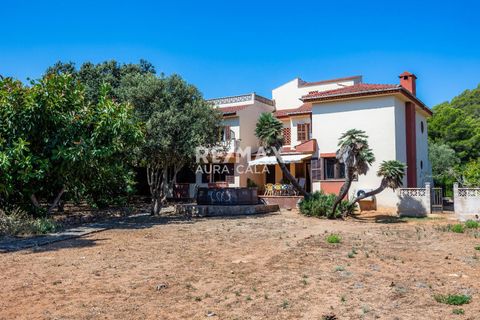 Villa a Cala Ratjada, Mallorca, Cala Ratjada - € 1.325.000 | Ref: 2161 - foto 24