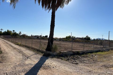 Tomt i Elche, Alicante, Elche - € 165 000 | Ref: MM05552/7663 - foto 9