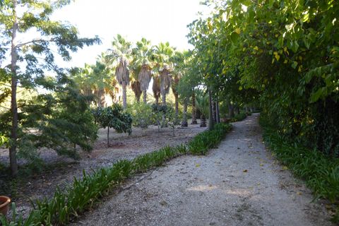 Villa i Beniarbeig, Alicante, Beniarbeig - € 2.500.000 | Ref: EJV-1455 - foto 19