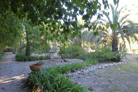 Villa i Beniarbeig, Alicante, Beniarbeig - € 2.500.000 | Ref: EJV-1455 - foto 21