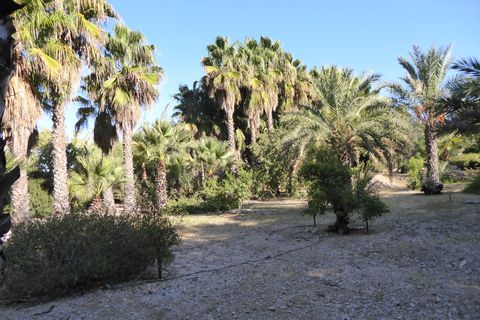 Villa i Beniarbeig, Alicante, Beniarbeig - € 2.500.000 | Ref: EJV-1455 - foto 27