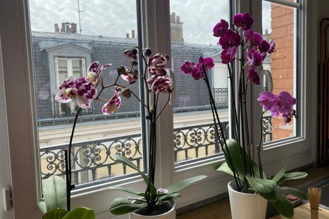 Lejlighed i Paris, Paris, Paris - € 535.000 | Ref: es5554891 - foto 36