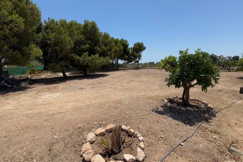 Finca i Torrellano, Alicante, Torrellano - € 525.000 | Ref: SLP2692 - foto 25