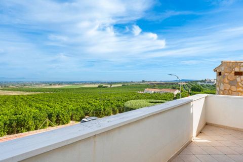 Villa i Algorfa, Alicante, Algorfa - € 770.000 | Ref: SLP2725 - foto 25