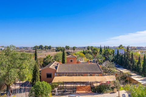 Finca i Catral, Alicante, Catral - € 975.000 | Ref: SLP2267 - foto 1