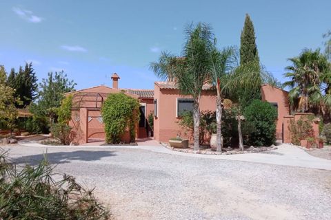 Finca i Catral, Alicante, Catral - € 975.000 | Ref: SLP2267 - foto 33