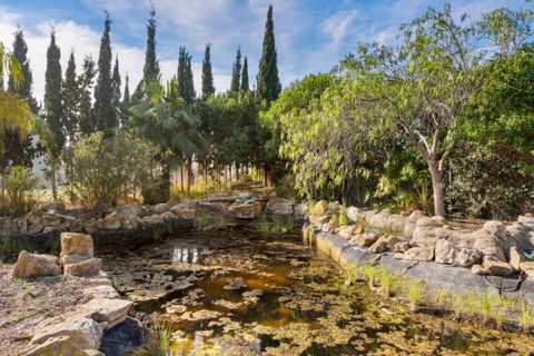 Finca i Catral, Alicante, Catral - € 975.000 | Ref: SLP2267 - foto 36