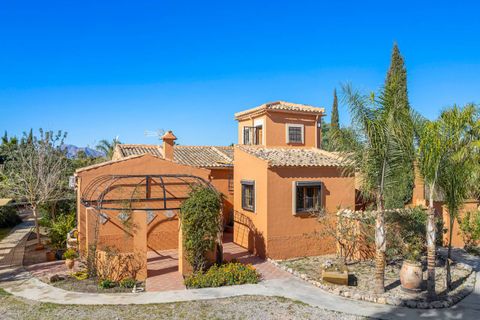 Finca i Catral, Alicante, Catral - € 975.000 | Ref: SLP2267 - foto 41