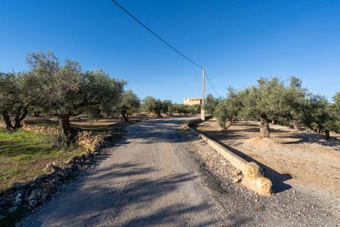 Villa i Camarles, Tarragona, Camarles - € 621.000 | Ref: 302 - foto 9
