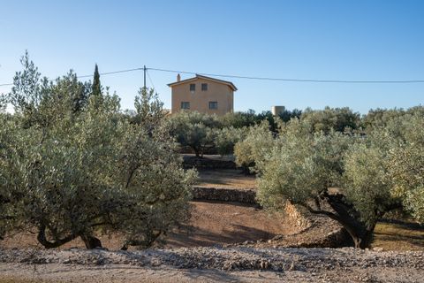 Villa i Camarles, Tarragona, Camarles - € 621.000 | Ref: 302 - foto 8