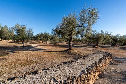 Villa i Camarles, Tarragona, Camarles - € 621.000 | Ref: 302 - foto 11