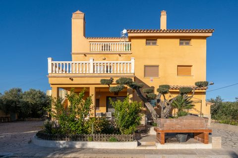 Villa i Camarles, Tarragona, Camarles - € 621.000 | Ref: 302 - foto 2