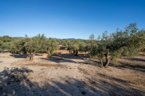 Villa i Camarles, Tarragona, Camarles - € 621.000 | Ref: 302 - foto 10