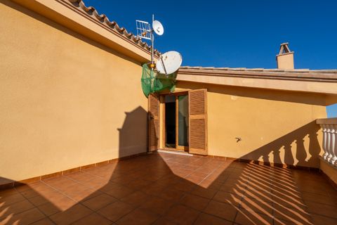 Villa i Camarles, Tarragona, Camarles - € 621.000 | Ref: 302 - foto 36