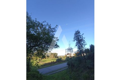 Villa a Montaria, Viana do Castelo, Montaria - € 180.000 | Ref: 1350250/25VC - foto 11
