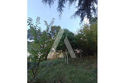 Villa a Montaria, Viana do Castelo, Montaria - € 180.000 | Ref: 1350250/25VC - foto 12