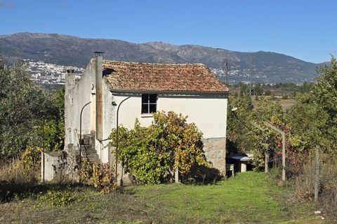 Farm i Ferro, Castelo Branco, Ferro - € 107.000 | Ref: MAS_165 - foto 1