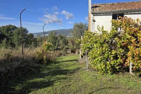 Farm i Ferro, Castelo Branco, Ferro - € 107.000 | Ref: MAS_165 - foto 2