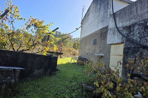 Farm i Ferro, Castelo Branco, Ferro - € 107.000 | Ref: MAS_165 - foto 5