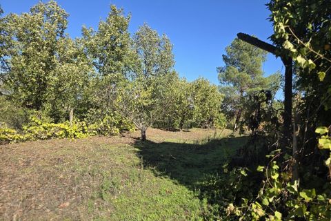 Farm i Ferro, Castelo Branco, Ferro - € 107.000 | Ref: MAS_165 - foto 6