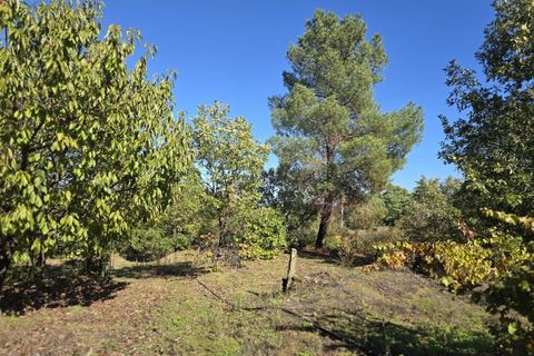 Farm i Ferro, Castelo Branco, Ferro - € 107.000 | Ref: MAS_165 - foto 7