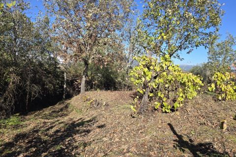 Farm i Ferro, Castelo Branco, Ferro - € 107.000 | Ref: MAS_165 - foto 8