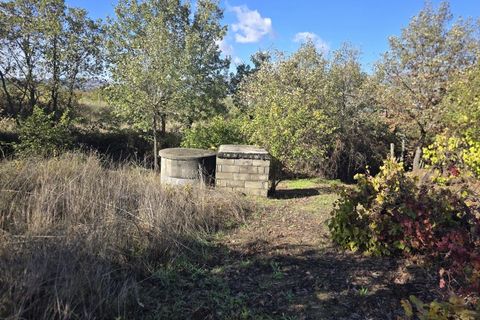 Farm i Ferro, Castelo Branco, Ferro - € 107.000 | Ref: MAS_165 - foto 10