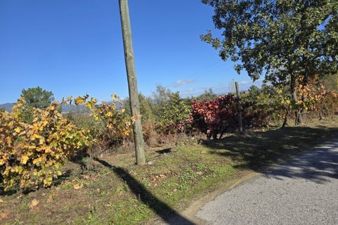 Farm i Ferro, Castelo Branco, Ferro - € 107.000 | Ref: MAS_165 - foto 11