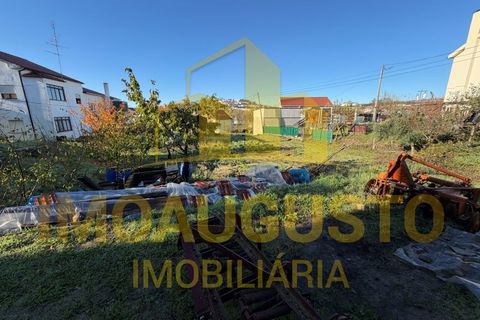 Villa a Guarda, Guarda, Guarda - € 95.000 | Ref: CAS_2357 - foto 5