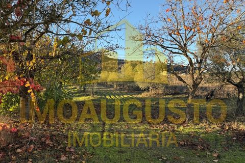 Villa a Marialva, Guarda, Marialva - € 190.000 | Ref: CAS_2362 - foto 12