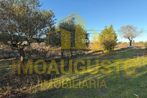 Villa a Marialva, Guarda, Marialva - € 190.000 | Ref: CAS_2362 - foto 13
