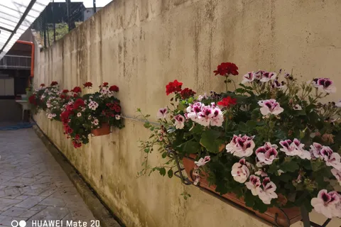 Villa a Farindola, Pescara, Farindola - € 250.000 | Ref: AR521 - foto 4