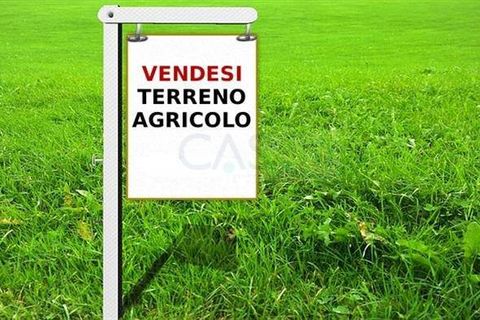 Helårsgrund i Ripatransone, Ascoli Piceno, Ripatransone - € 14.000 | Ref: 1181 - foto 1